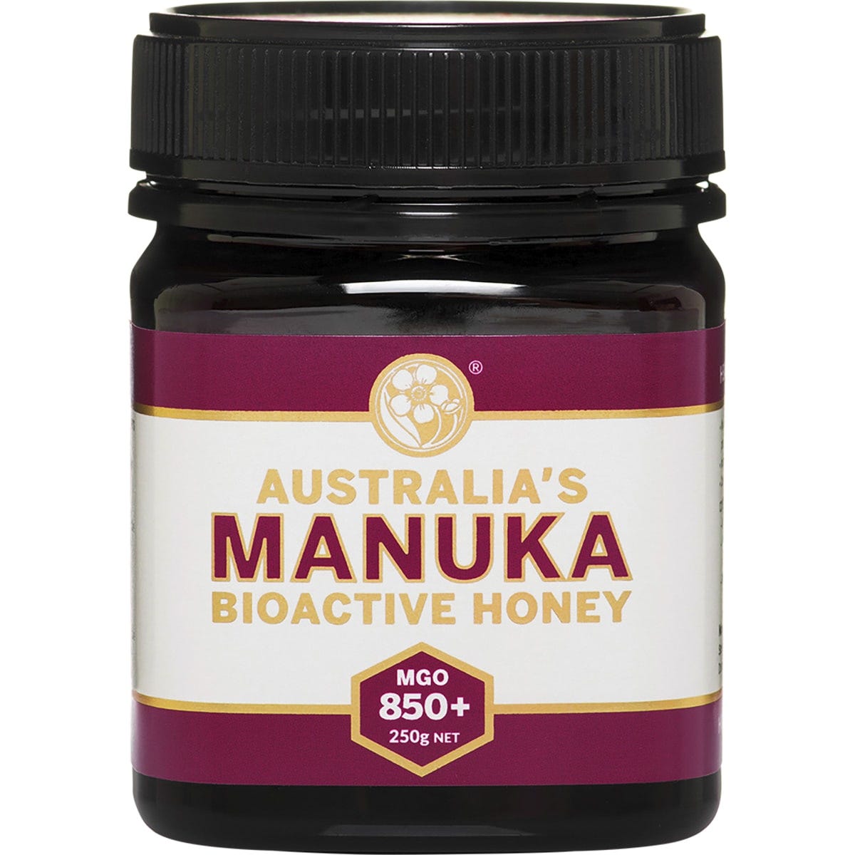 Australia's Manuka Bioactive Honey MGO850+ 250g - Dr Earth - Sweeteners, First Aid