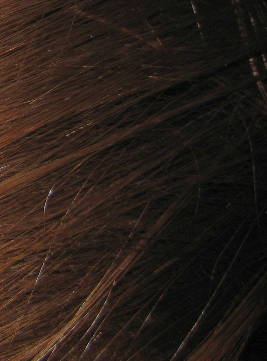 Dark Brown Herbal Hair Colour - Dr Earth - Body & Beauty, Hair Care