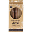 Ever Eco Stainless Steel Short Straws Rose Gold 4pk - Dr Earth - Straws & Cutlery