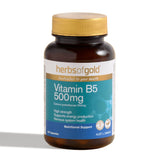 Herbs of Gold Vitamin B5 500mg - Dr Earth - Supplements, Nutritionals