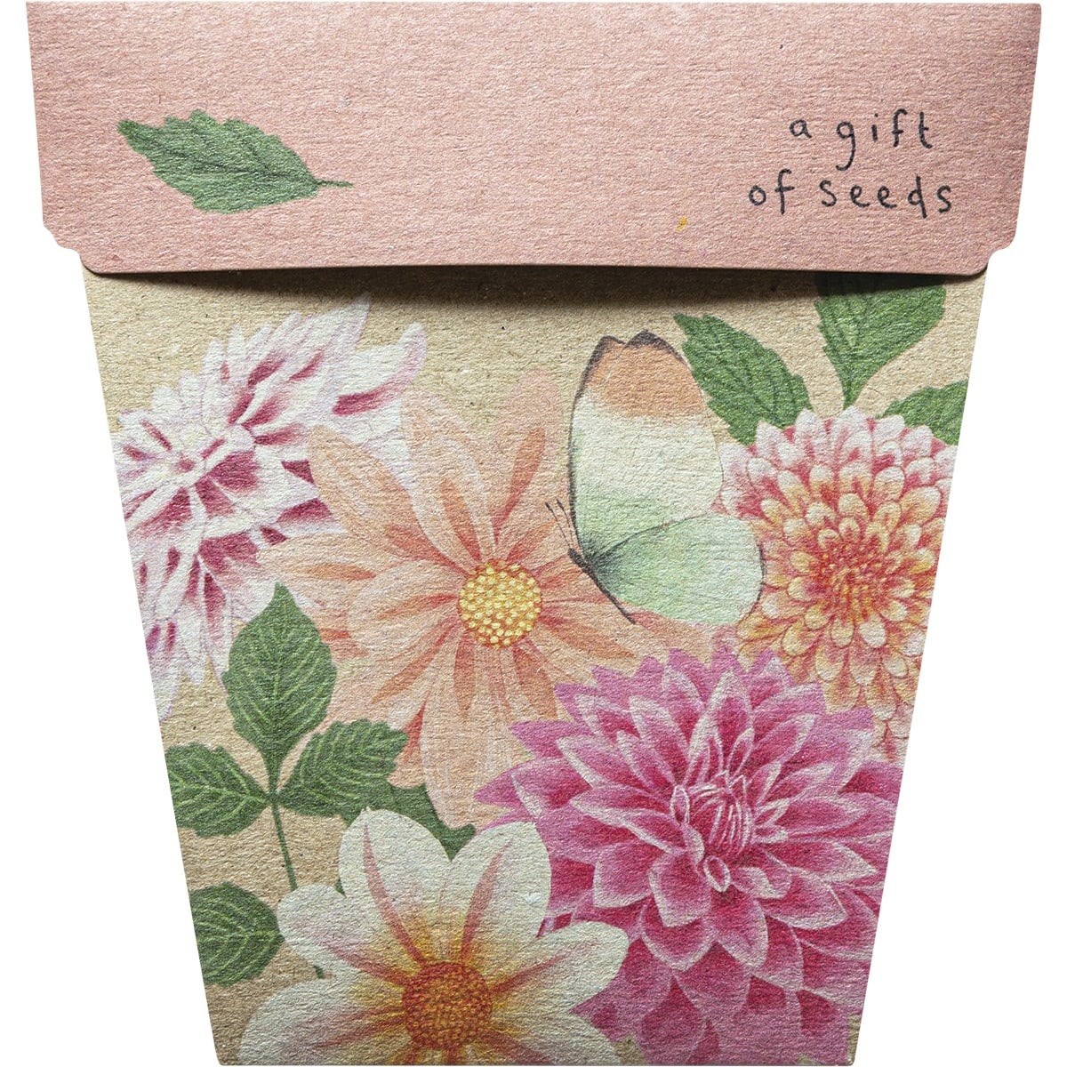 Sow 'n Sow Gift of Seeds Dahlia - Dr Earth - Garden & Pets