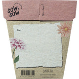 Sow 'n Sow Gift of Seeds Dahlia - Dr Earth - Garden & Pets