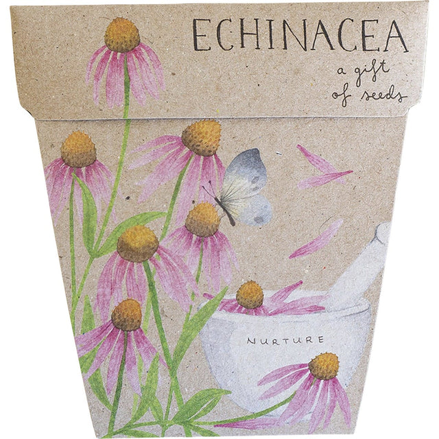 Sow 'n Sow Gift of Seeds Echinacea - Dr Earth - Garden & Pets