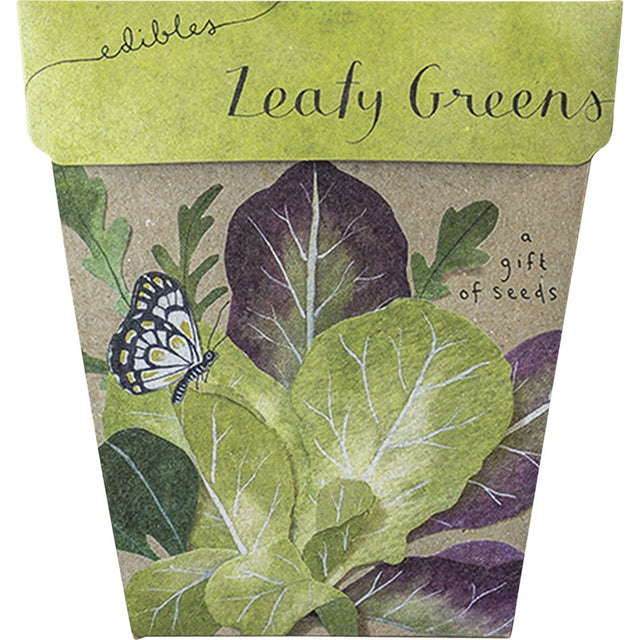 Sow 'n Sow Gift of Seeds Leafy Greens - Dr Earth - Garden & Pets