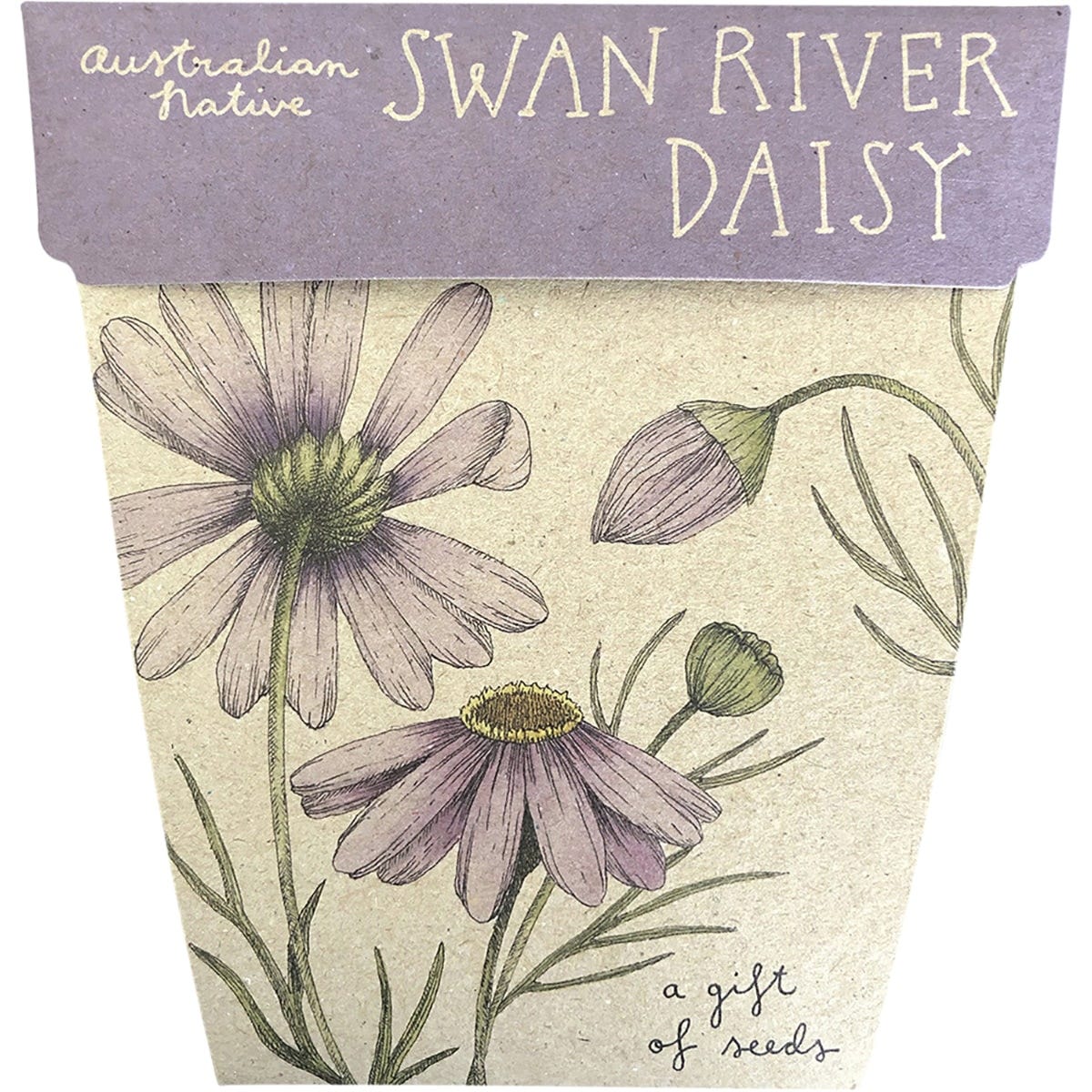 Sow 'n Sow Gift of Seeds Swan River Daisy - Dr Earth - Garden & Pets