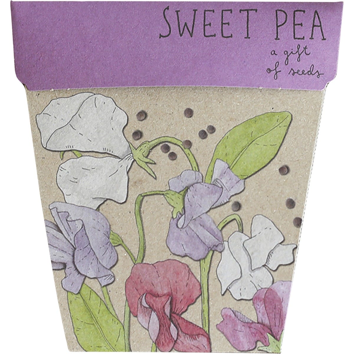 Sow 'n Sow Gift of Seeds Sweet Pea - Dr Earth - Garden & Pets