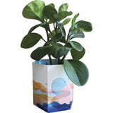 Sow 'n Sow Pop Up Pot Beach Small 22cm - Dr Earth - Garden & Pets