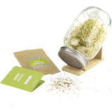 Urban Greens Grow Your Own Sprouts Kit Alfalfa 10x10x17cm - Dr Earth - Garden & Pets