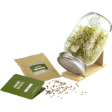 Urban Greens Grow Your Own Sprouts Kit Radish 10x10x17cm - Dr Earth - Garden & Pets