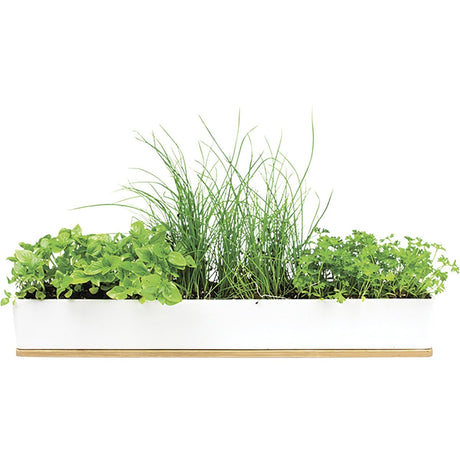 Urban Greens Windowsill Grow Kit Microherbs 45x8x6cm - Dr Earth - Garden & Pets