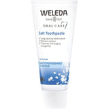 Weleda Toothpaste Salt Salty Peppermint Flavour 75ml - Dr Earth - Oral Care